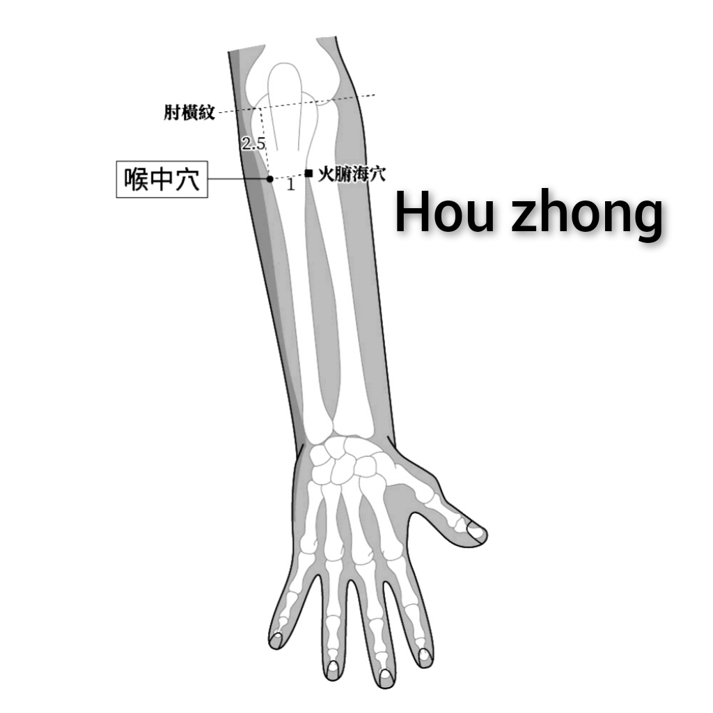 喉中.jpg