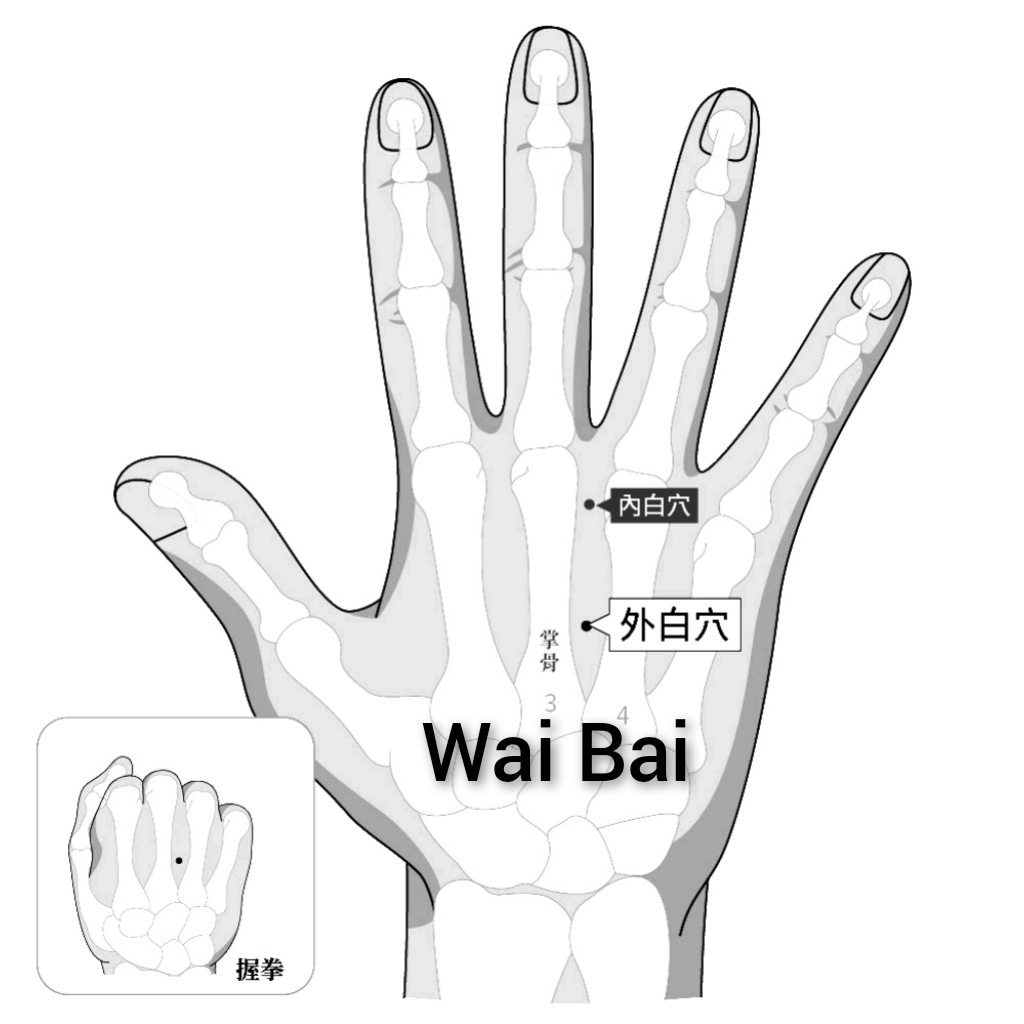 外白.jpg
