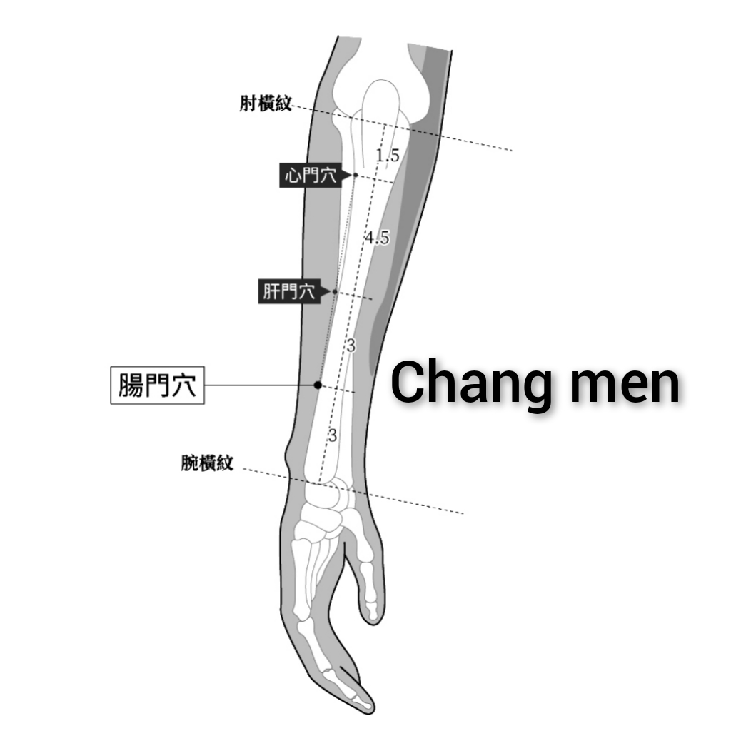 肠门.jpg