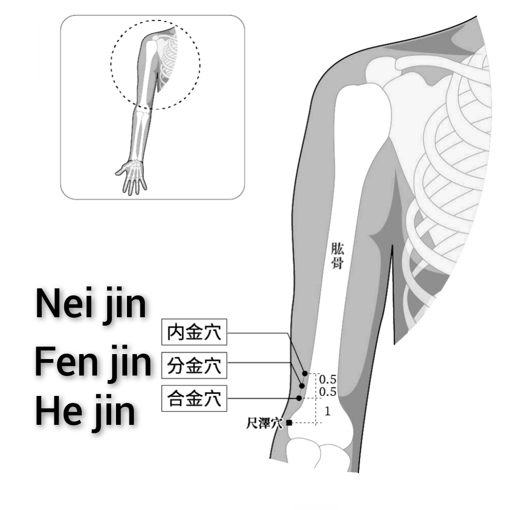 内金-分金-合金.jpg
