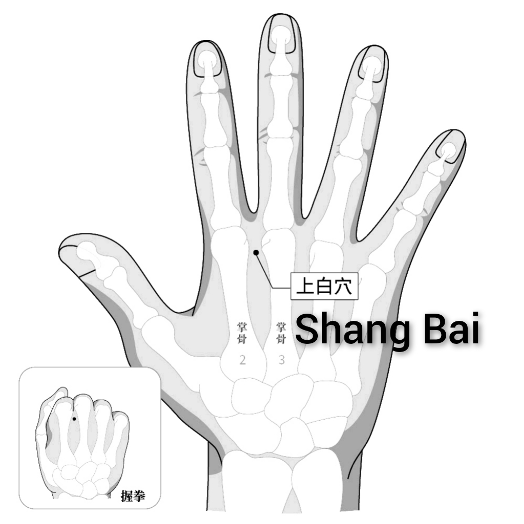上百.jpg