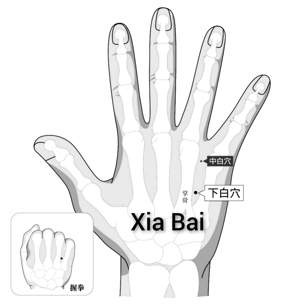 下白.jpg