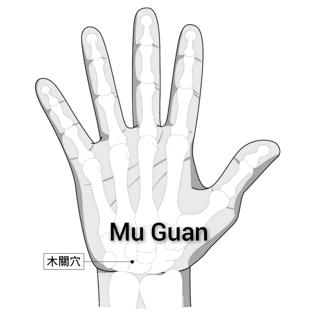 木关.jpg