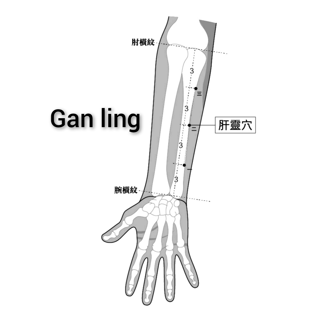 肝灵.jpg