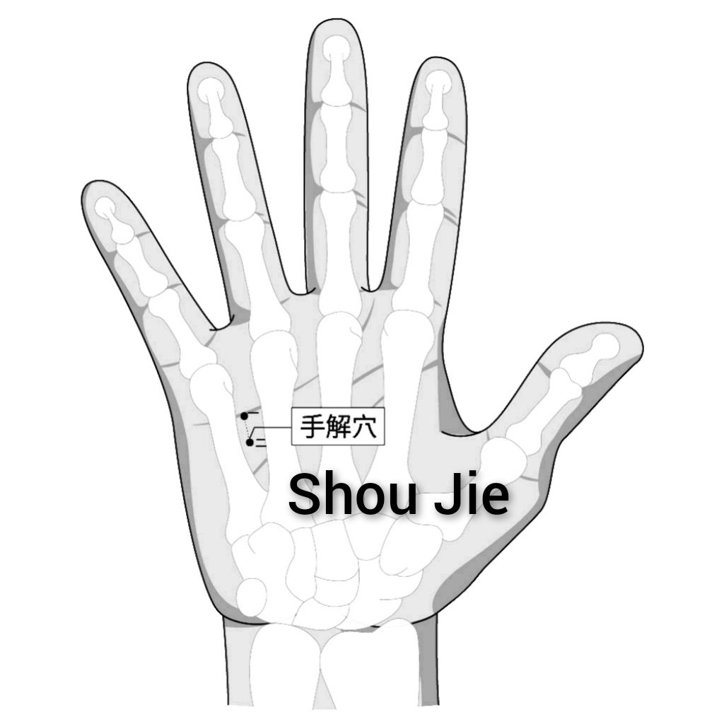 手解.jpg