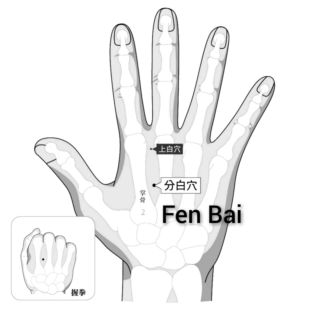 分白.jpg