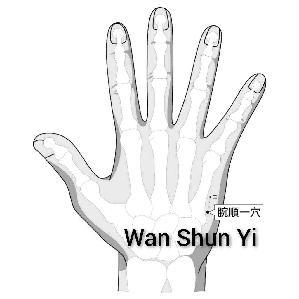 腕顺一.jpg