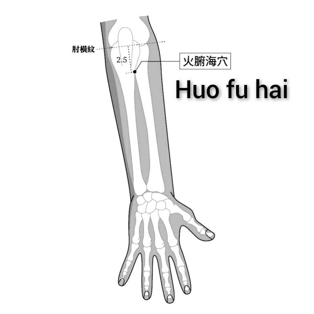 火符海.jpg