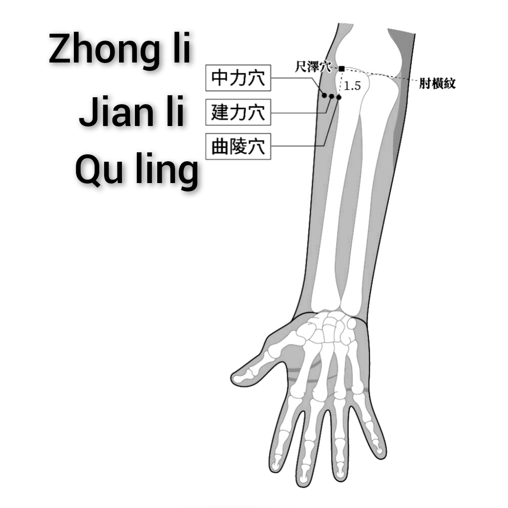 中力-建力-曲陵.jpg