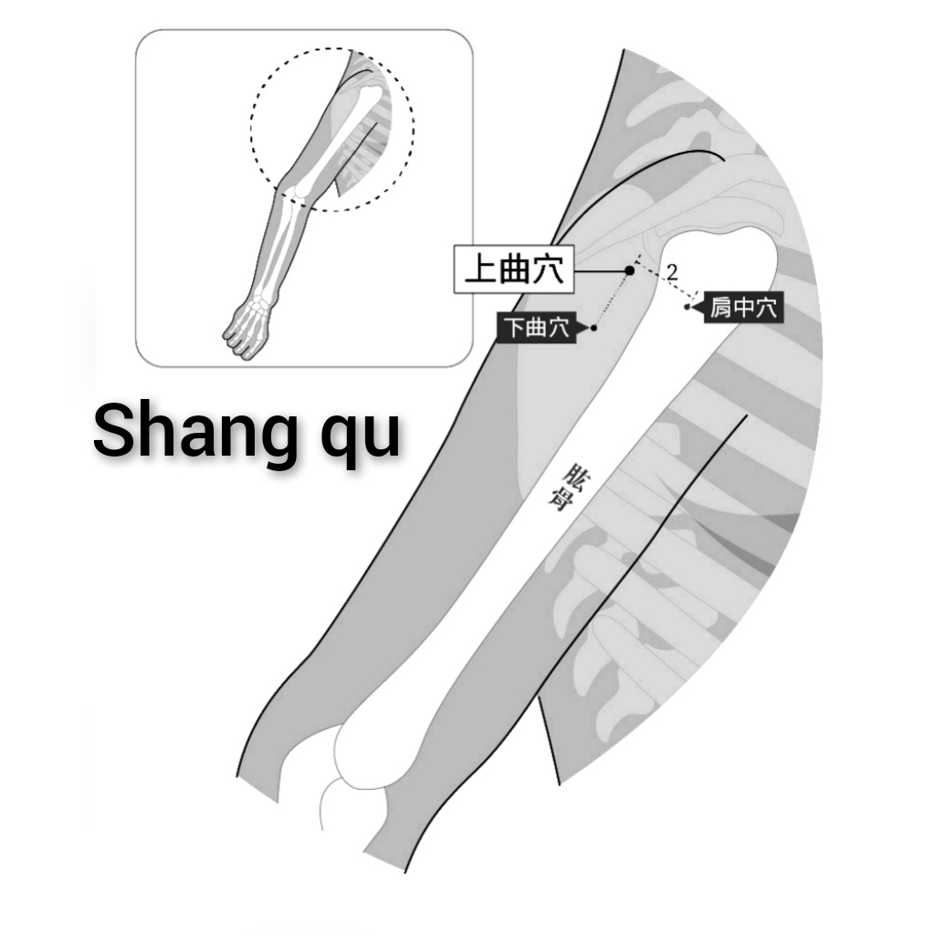 上曲.jpg