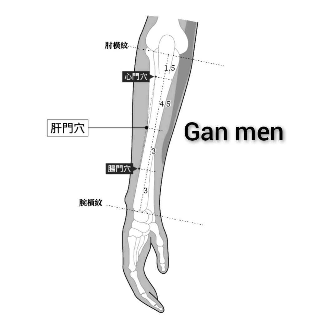 肝门.jpg