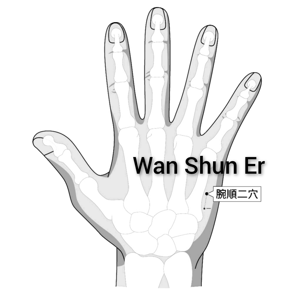 腕顺二.jpg