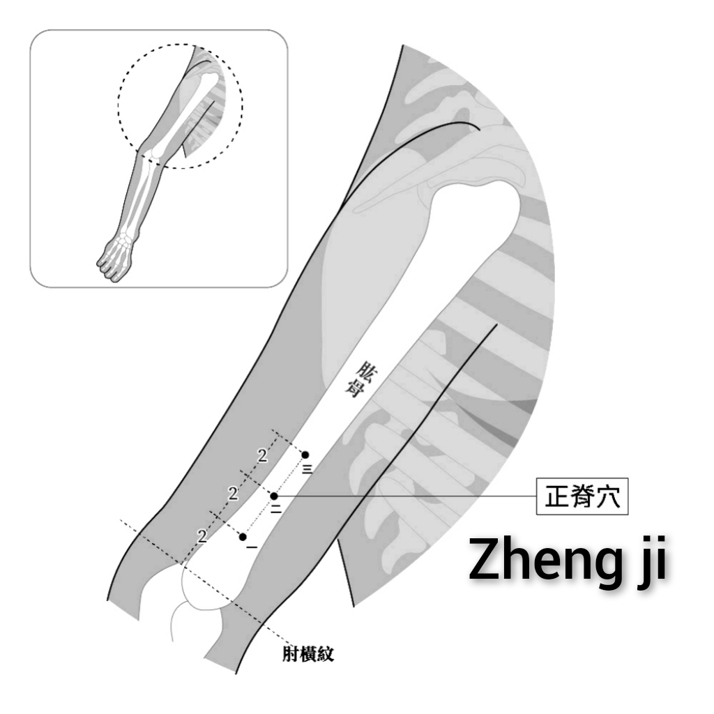 正脊.jpg