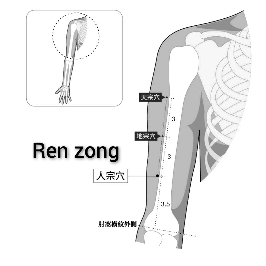 人宗.jpg