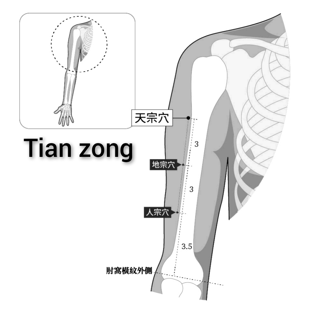 天宗.jpg