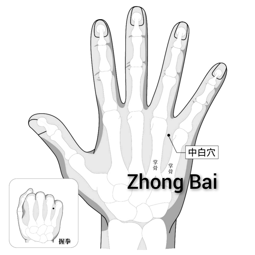 中白.jpg