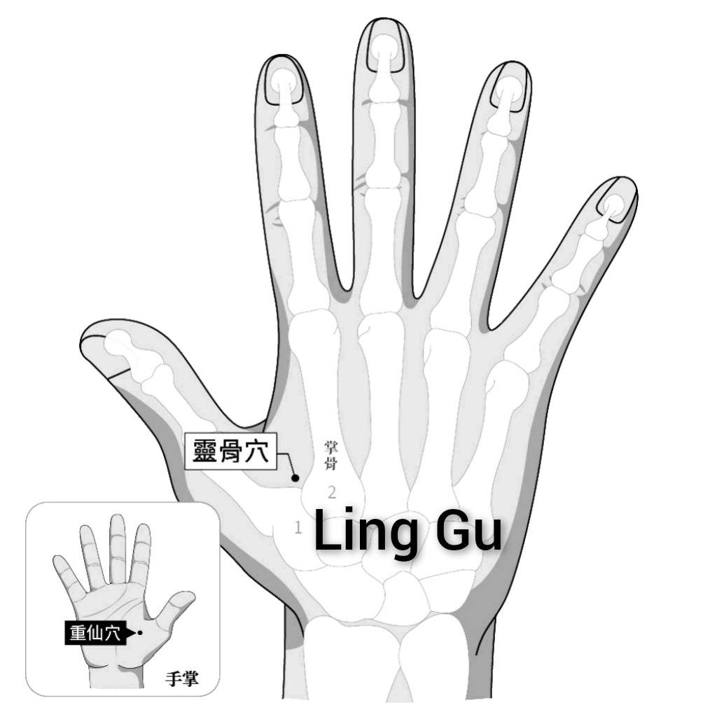 灵谷.jpg