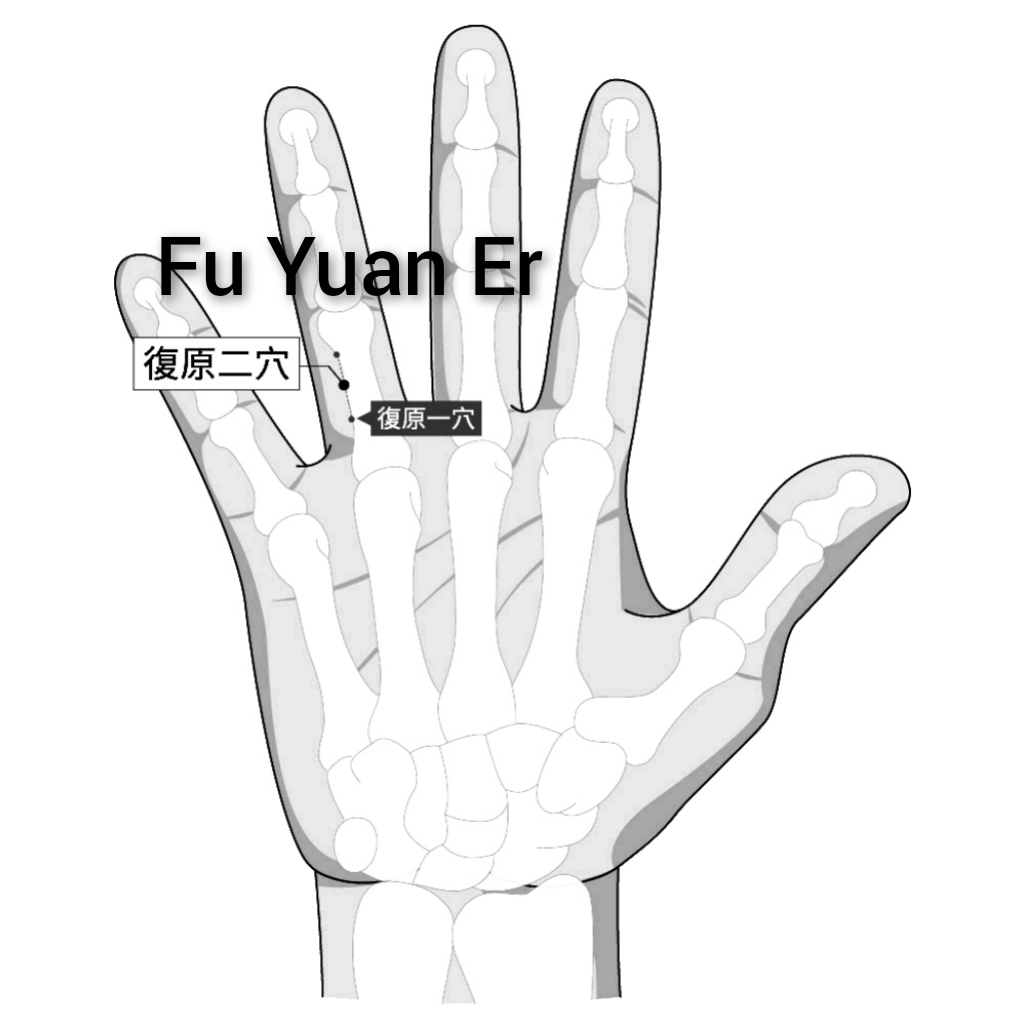 复原二.jpg