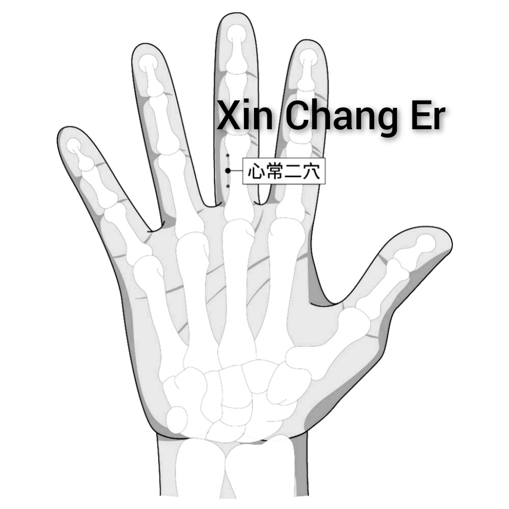 心常二.jpg