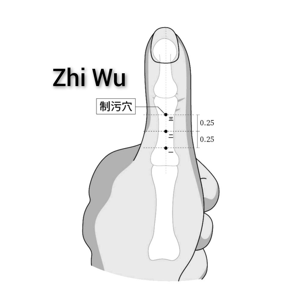 制污.jpg