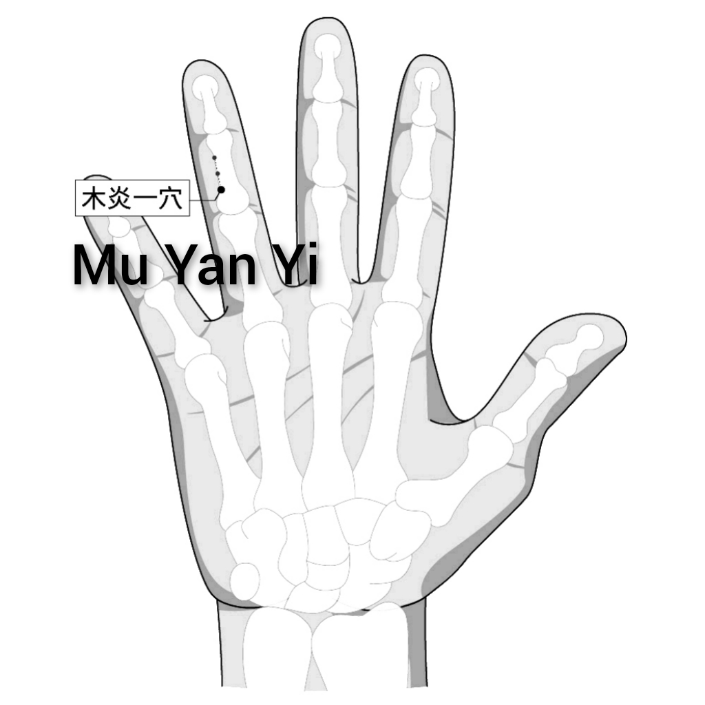 木炎一.jpg