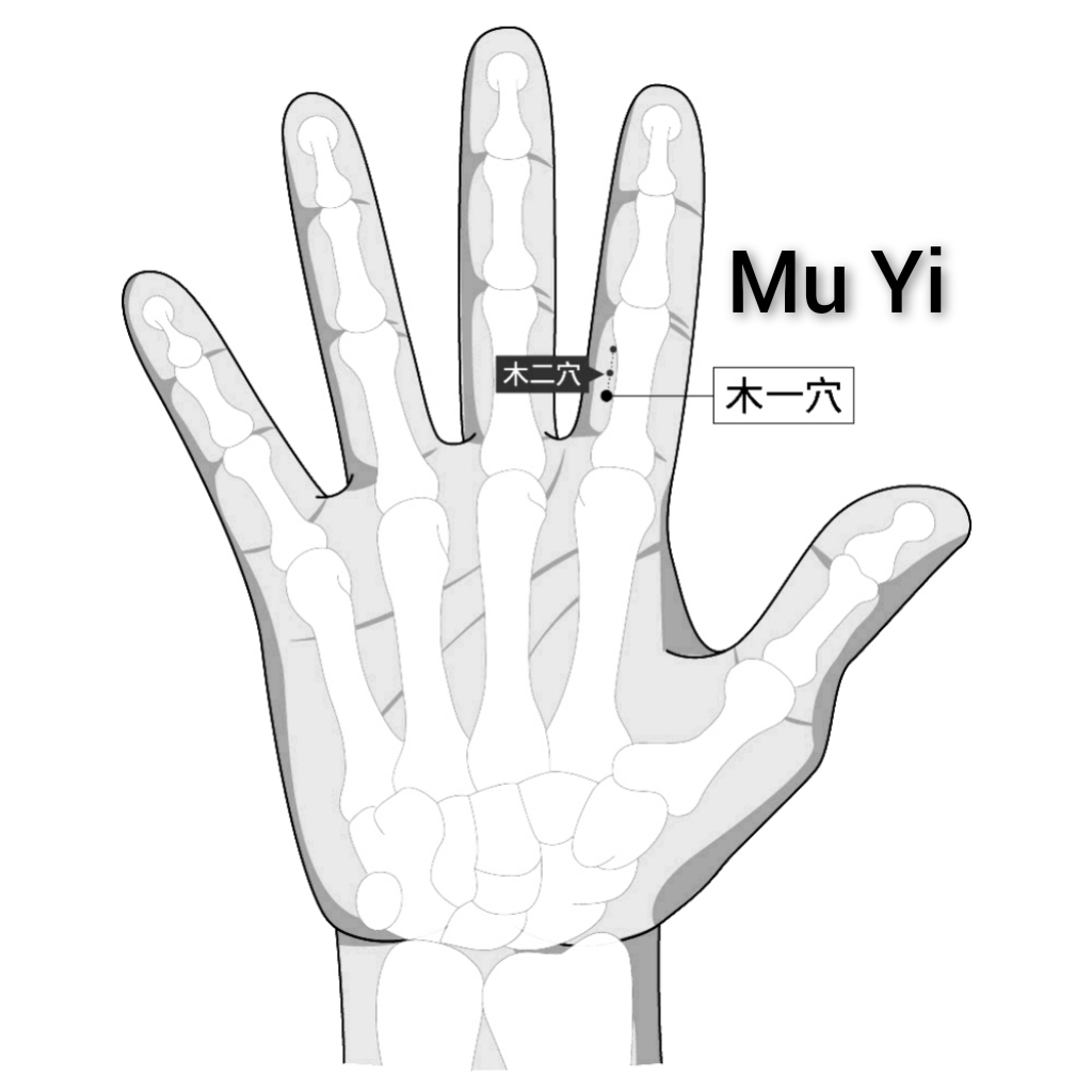 木一.jpg