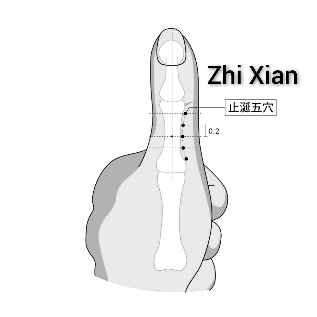 止涎五.jpg