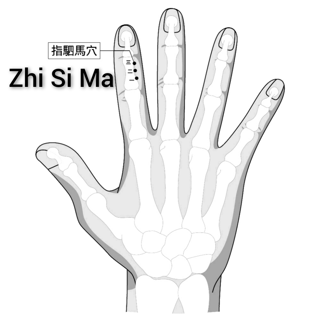 指驷马.jpg