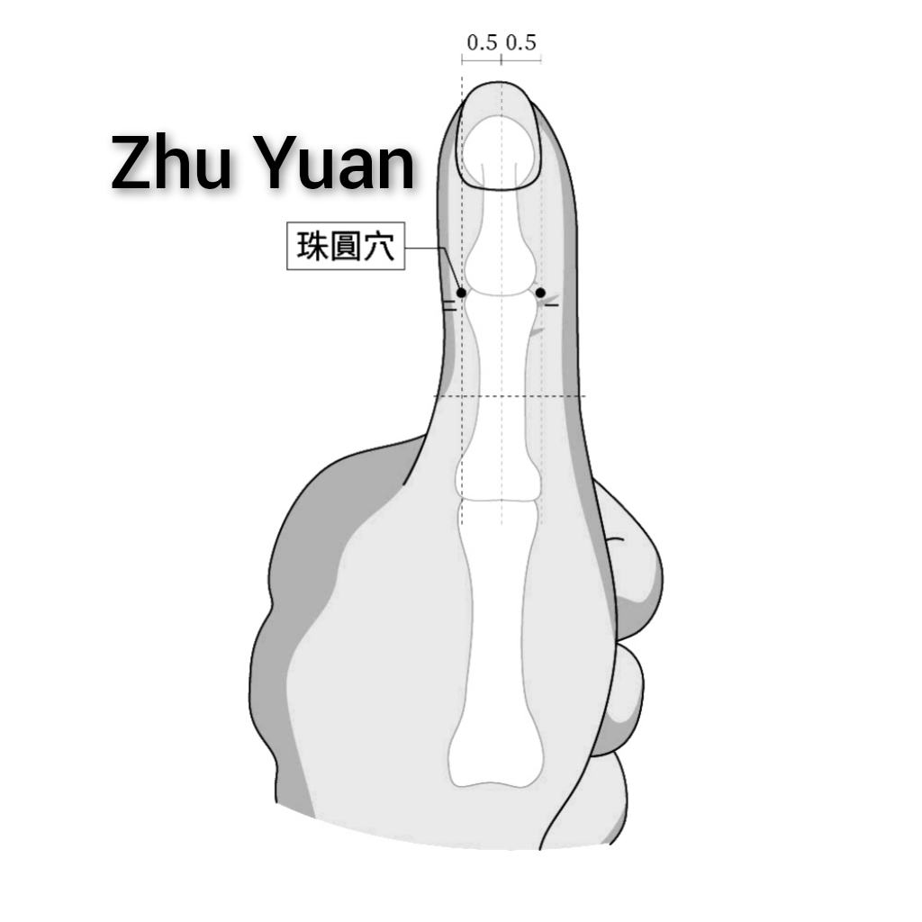 珠圆.jpg