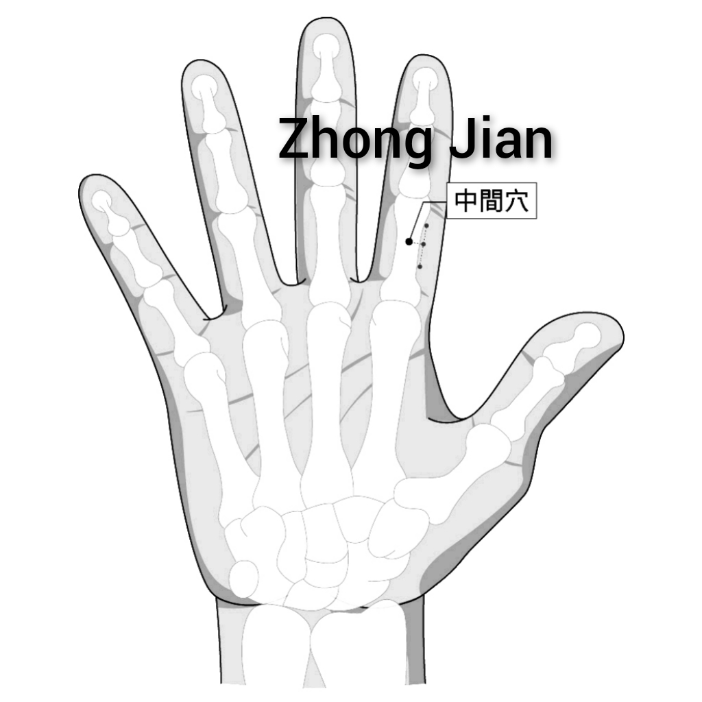 中间.jpg