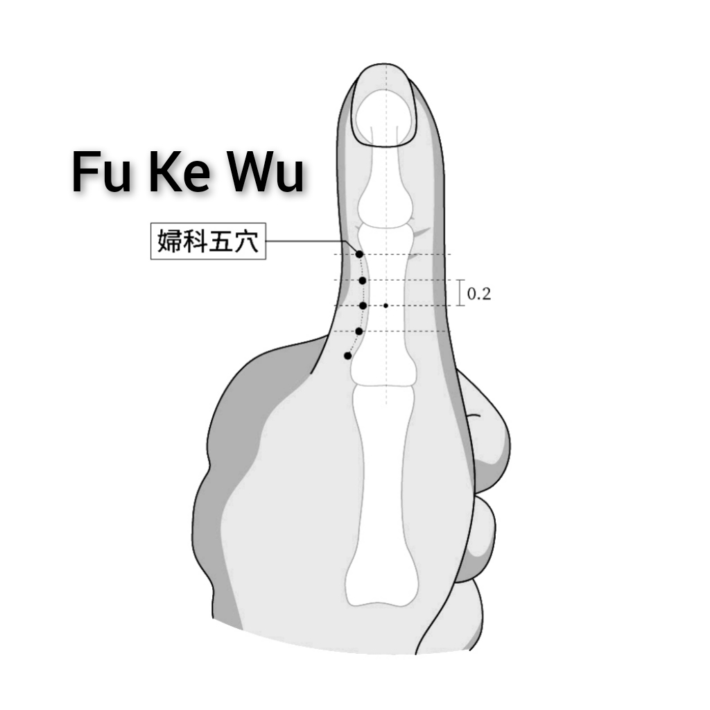 妇科五.jpg