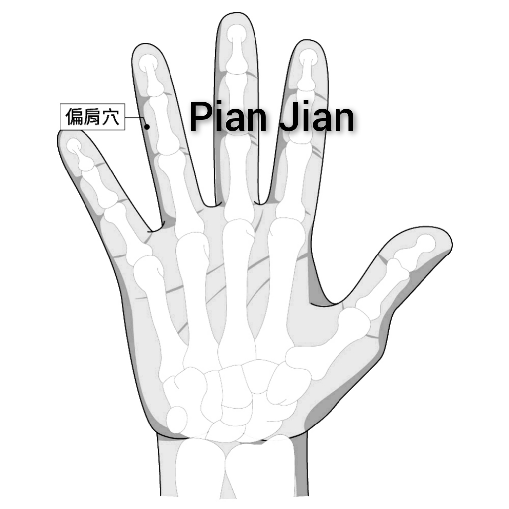 偏肩.jpg
