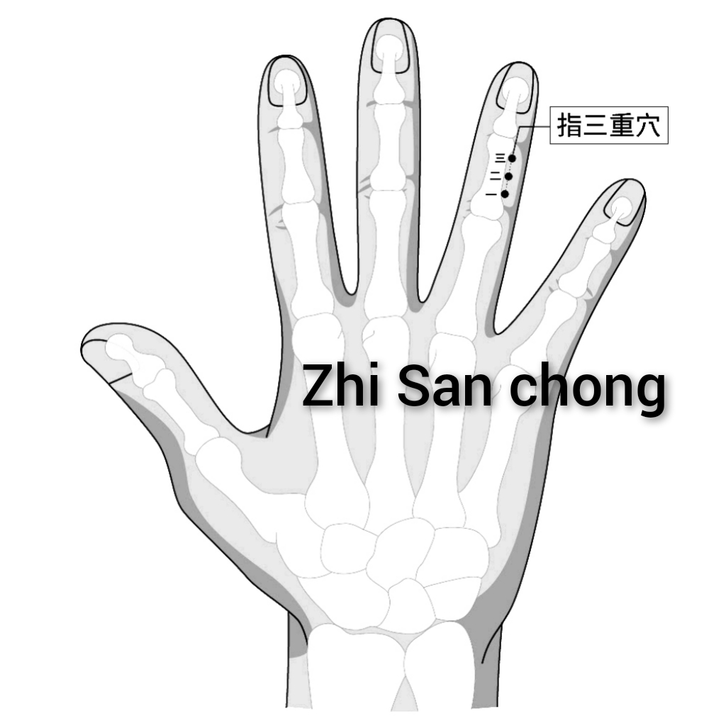 指三重.jpg