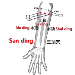 三顶.png