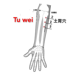 土胃.png
