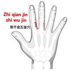 指千金五金.png
