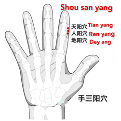 手三阳.png