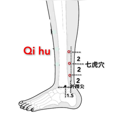 七虎.png