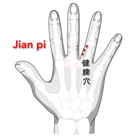 健脾.png