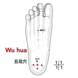 五花.png