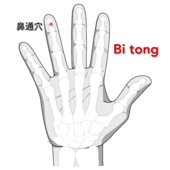 鼻痛.png