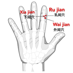 下间-乳间-外间.png