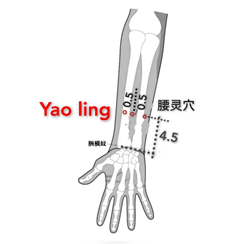 腰灵.png