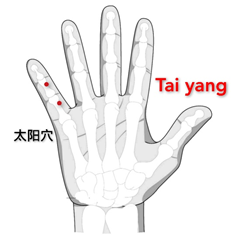 太阳.png