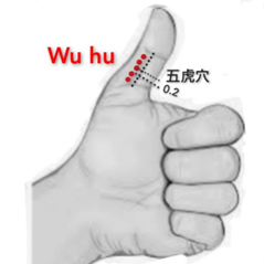 五虎.png