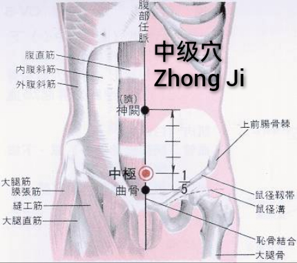 中级.jpg