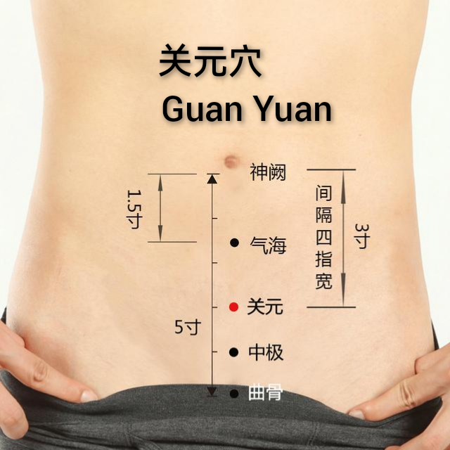 关元.jpg