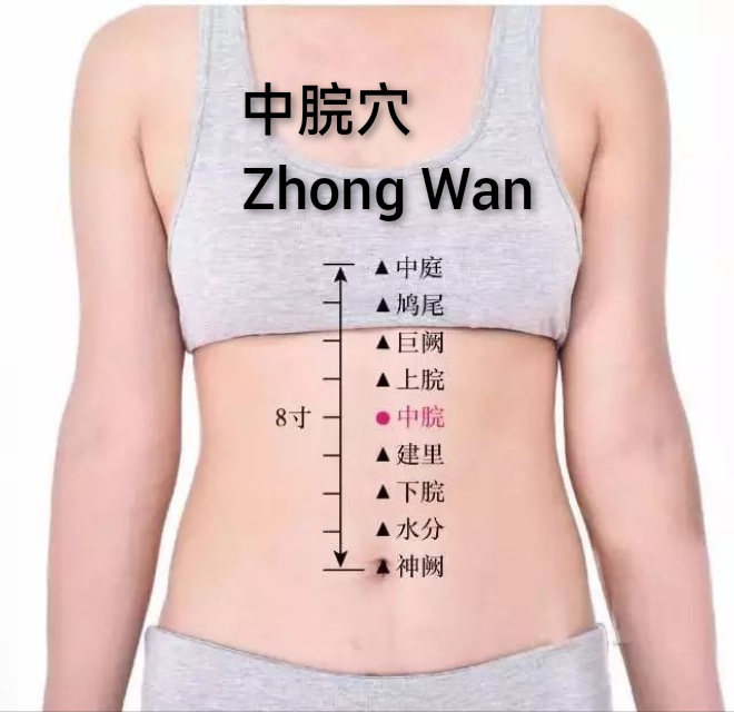 中脘.jpg