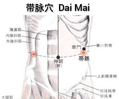 带脉.jpg