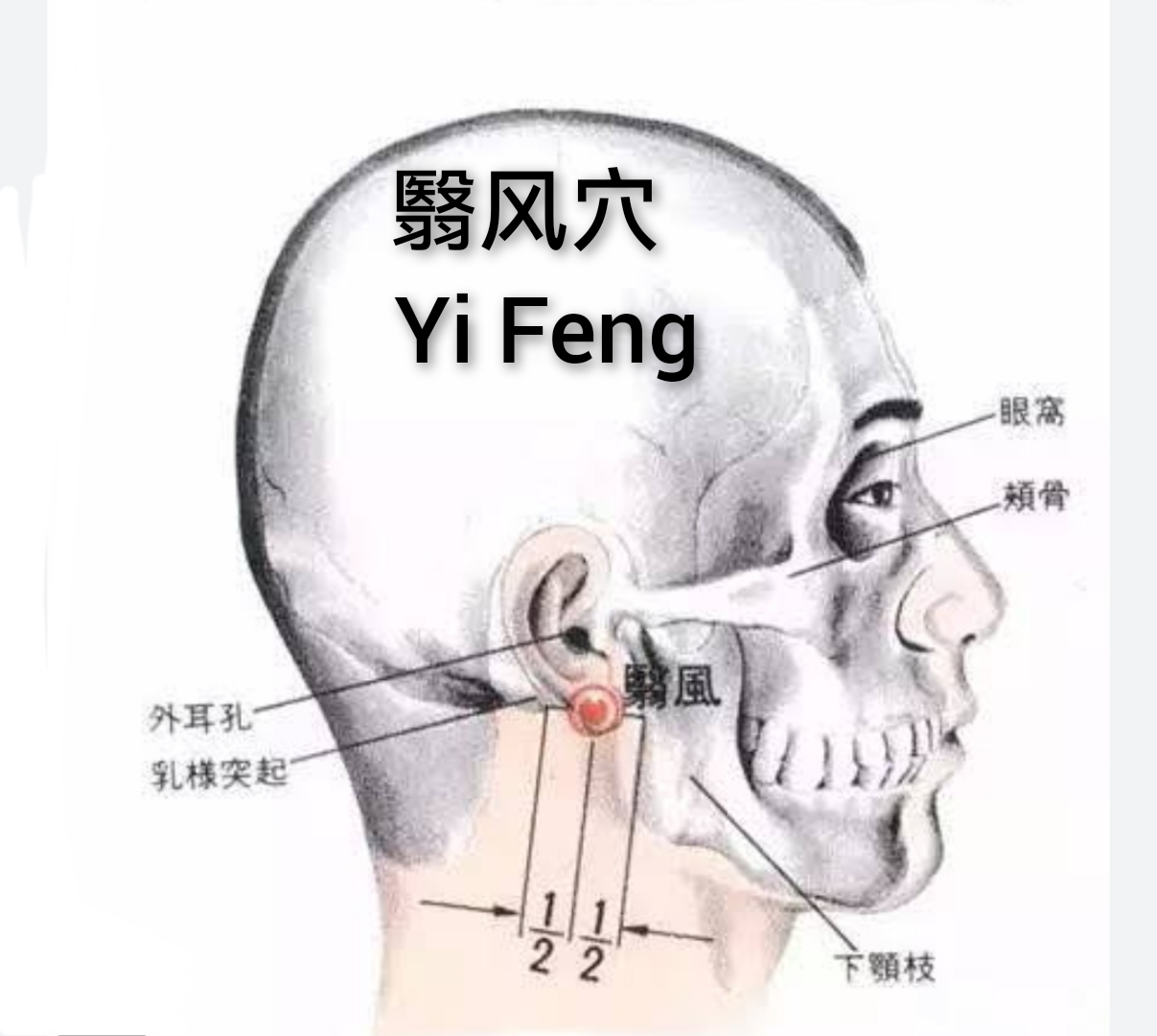 翳风.jpg